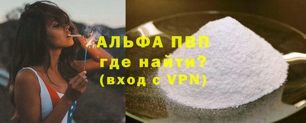 стаф Арсеньев