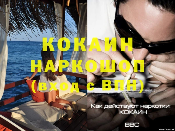 прущие крисы Аркадак